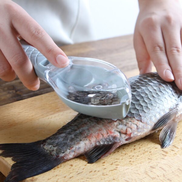 Brosse pour peau de poisson, brosse pour gratter les écailles, râpe, démontage rapide, couteau à poisson, nettoyage, éplucheur, grattoir, grattoir à écailles, ustensiles de cuisine